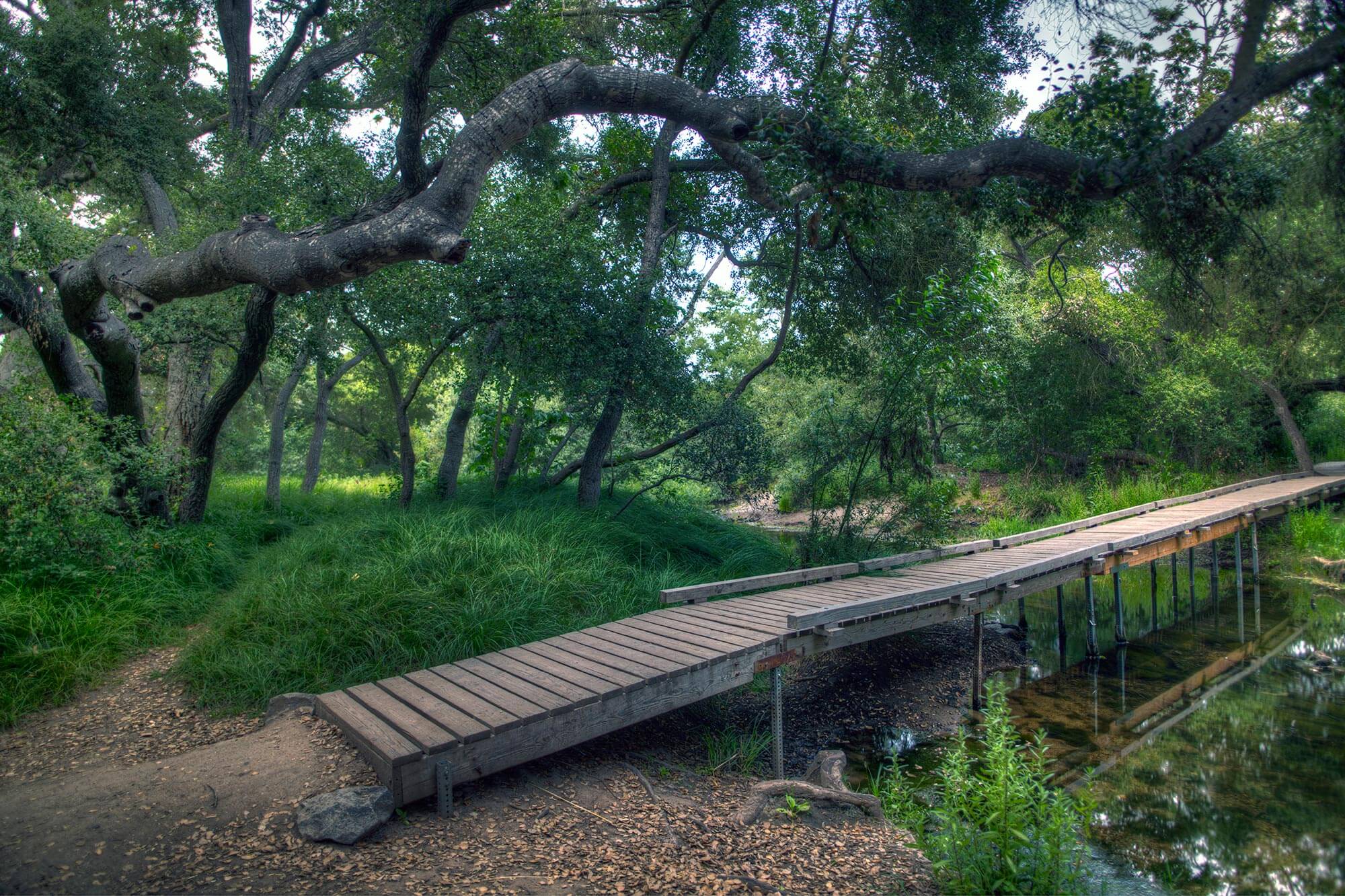 Carson's Crossing bridge and surrounding trees